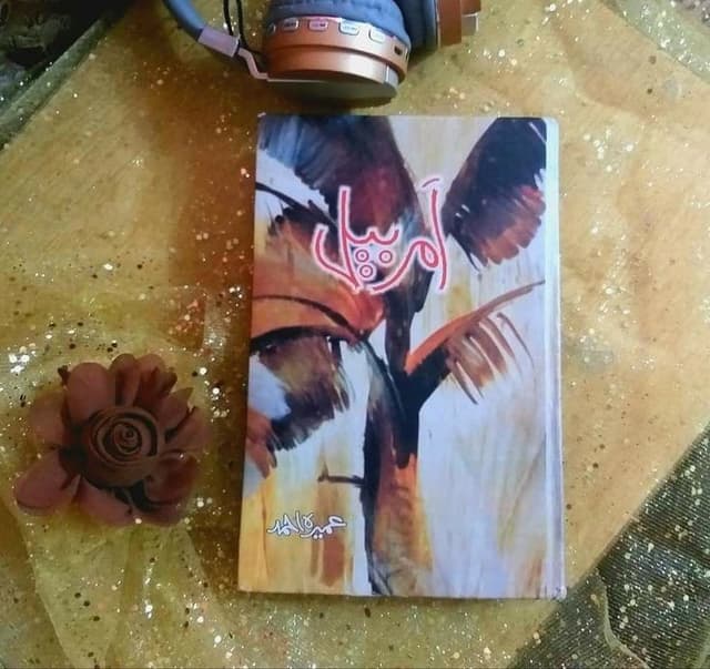 Amar Bail Cover