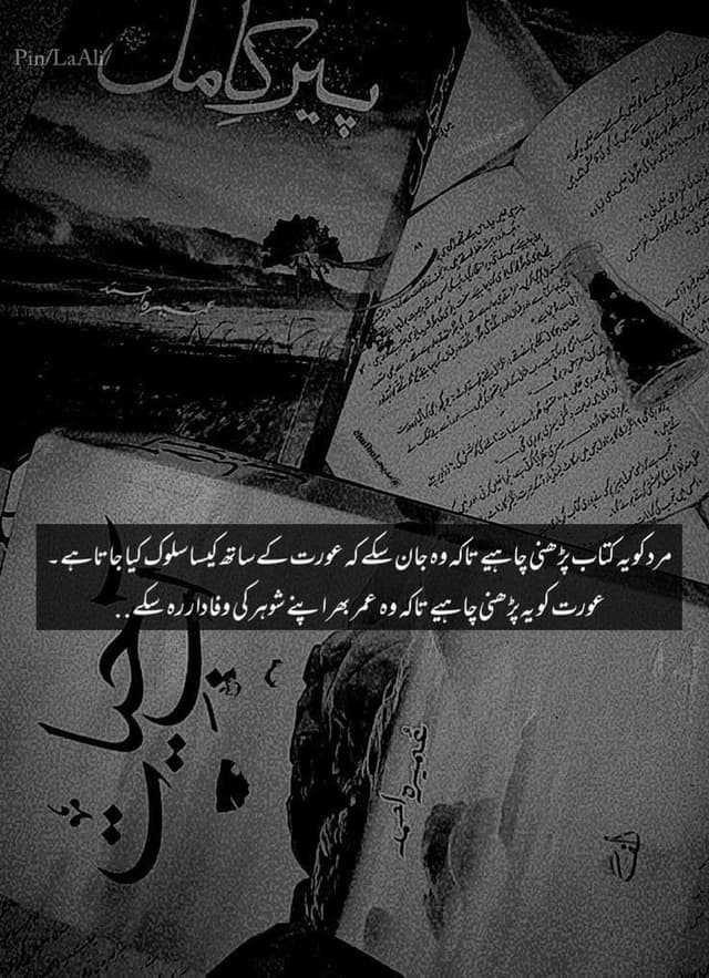 Novel 4